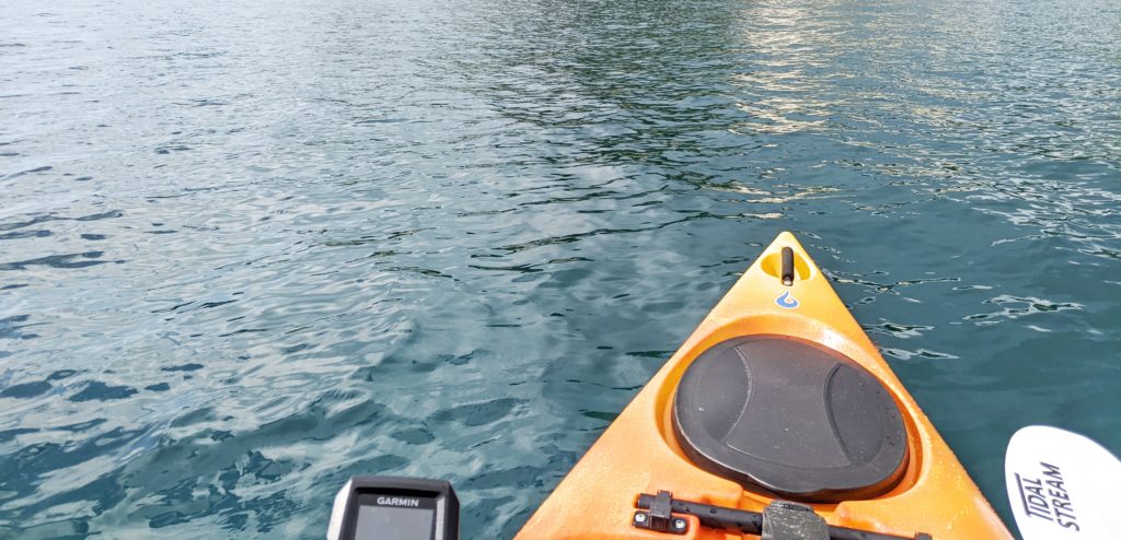 カヤックエギング